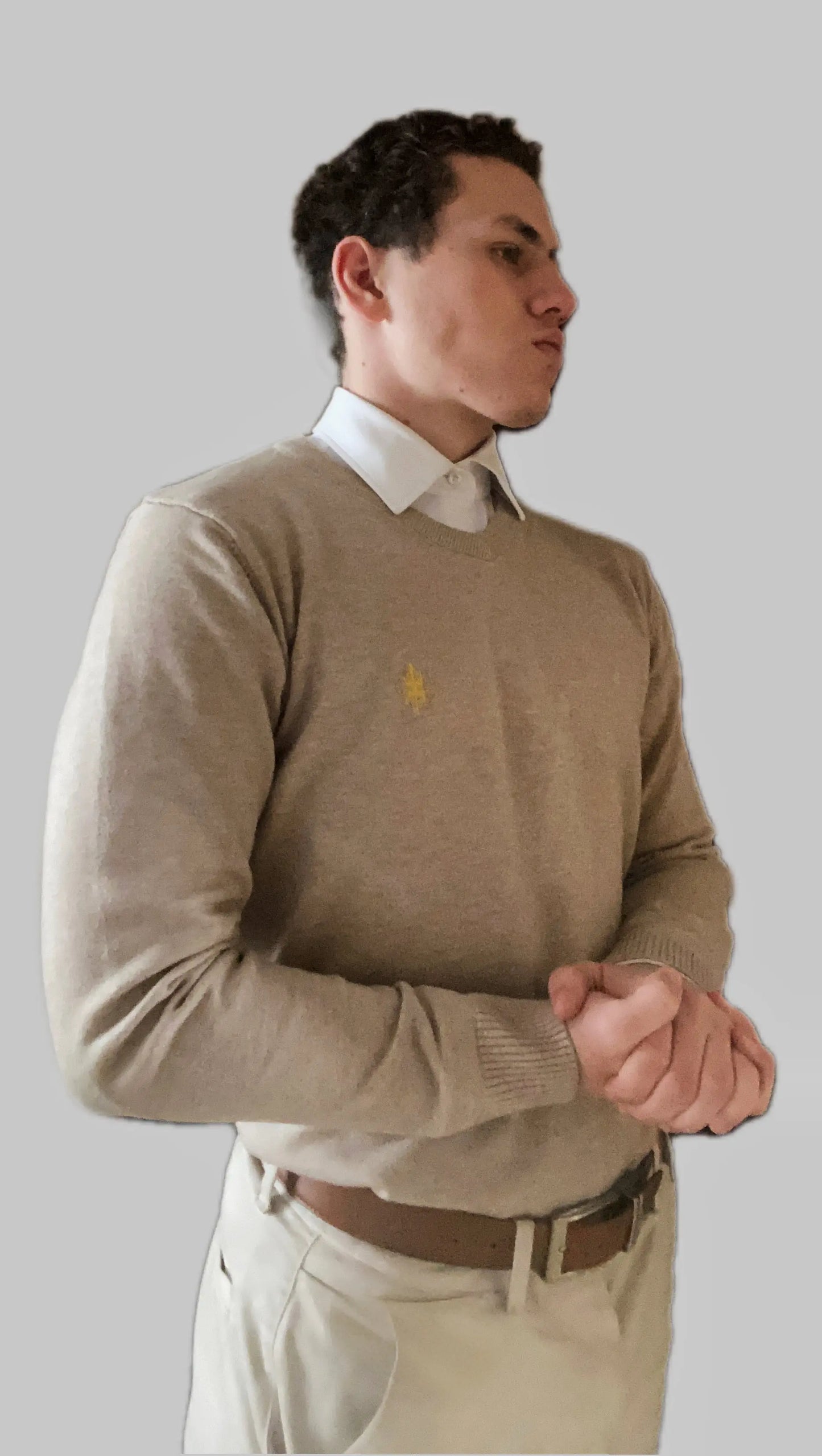 Pull col en V Azar classik ( beige )