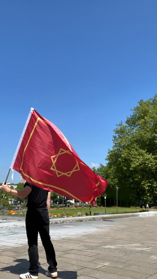 Drapeau merinides