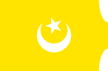 Drapeau hafsides
